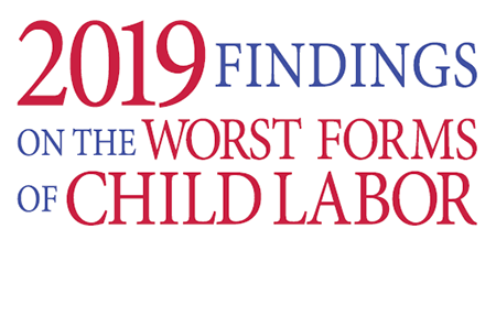 2019 Findings